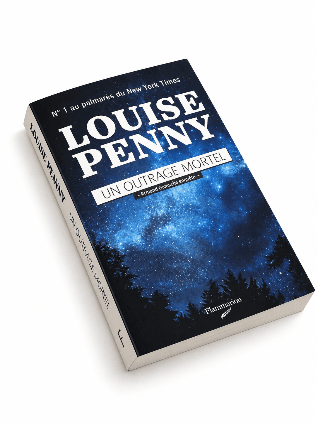 Collection de 10 romans de Louise Penny